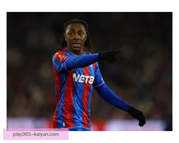 托纳利中场表现出色，助力球队迎来关键胜利，状态回暖值得关注。